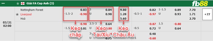 Fb88 bảng kèo trận đấu Nottingham Forest vs Liverpool