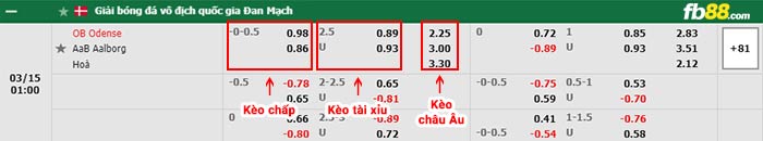 fb88-bảng kèo trận đấu Odense vs Aalborg