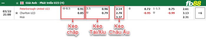 Fb88 bảng kèo trận đấu Peterborough U23 vs Charlton U23