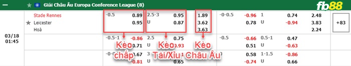 Fb88 bảng kèo trận đấu Rennes vs Leicester