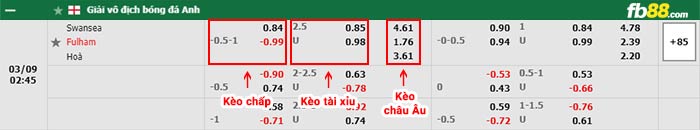 fb88-bảng kèo trận đấu Swansea vs Fulham