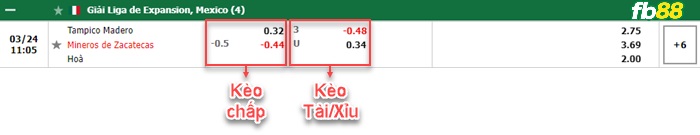 Fb88 bảng kèo trận đấu Tampico Madero vs Mineros Zacatecas