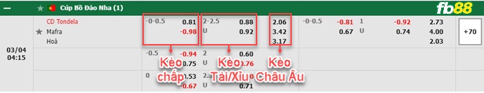 Fb88 bảng kèo trận đấu Tondela vs Mafra
