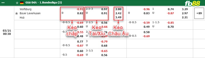 Fb88 bảng kèo trận đấu Wolfsburg vs Leverkusen