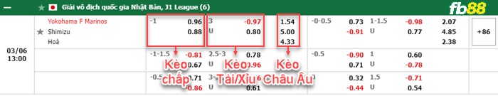 Fb88 bảng kèo trận đấu Yokohama F Marinos vs Shimizu S-Pulse