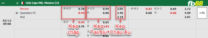 Fb88 bảng kèo trận đấu Club Necaxa vs Queretaro