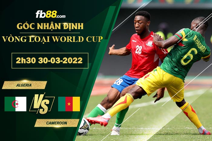 Fb88 soi kèo trận đấu Algeria vs Cameroon