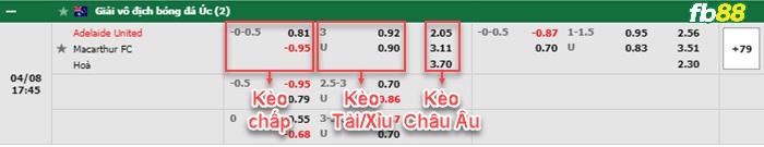 Fb88 bảng kèo trận đấu Adelaide vs Macarthur FC