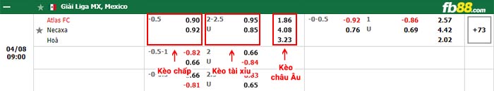 fb88-bảng kèo trận đấu Atlas vs Club Necaxa