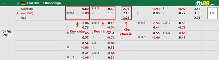 fb88-bảng kèo trận đấu Augsburg vs Wolfsburg