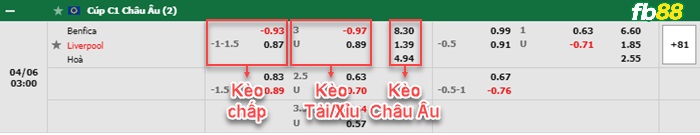 Fb88 bảng kèo trận đấu Preston vs Blackpool