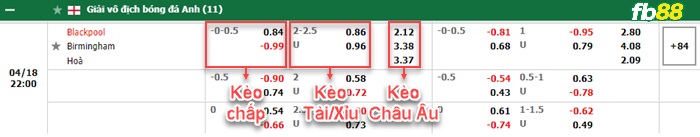 Fb88 bảng kèo trận đấu Blackpool vs Birmingham
