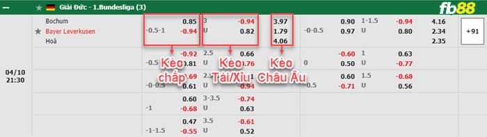 Fb88 bảng kèo trận đấu Bochum vs Leverkusen