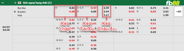 Fb88 bảng kèo trận đấu Burnley vs Everton