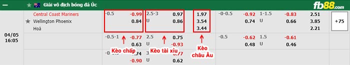 fb88-bảng kèo trận đấu Central Coast vs Wellington Phoenix