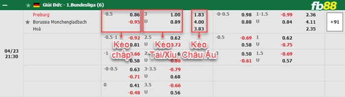 Fb88 bảng kèo trận đấu Freiburg vs Monchengladbach