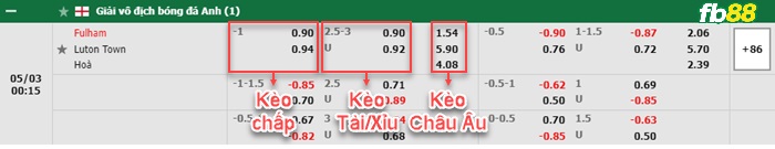 Fb88 bảng kèo trận đấu Fulham vs Luton Town