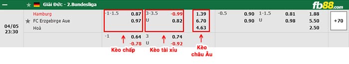 fb88-bảng kèo trận đấu Hamburger vs Erzgebirge Aue