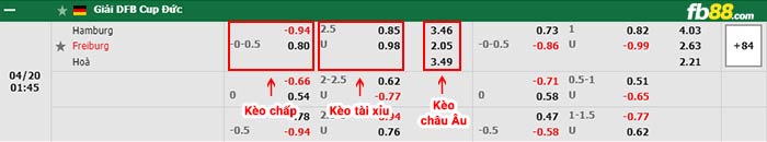 Bảng soi kèo Hamburger vs Freiburg