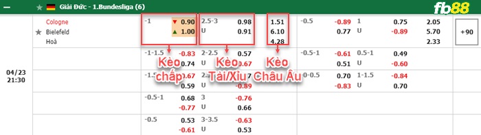 Fb88 bảng kèo trận đấu Koln vs Bielefeld