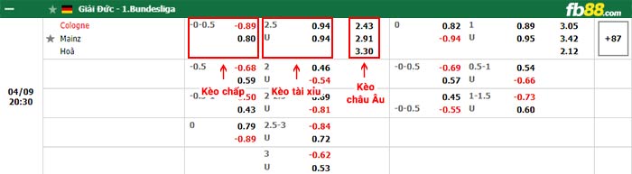 fb88-bảng kèo trận đấu Koln vs Mainz