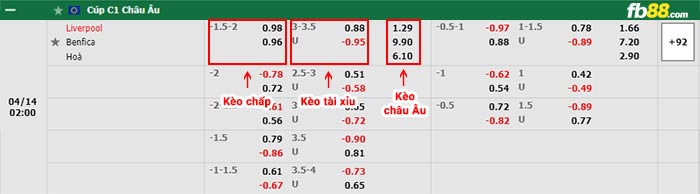 fb88-thông số trận đấu Nagoya Grampus vs Sanfrecce Hiroshima