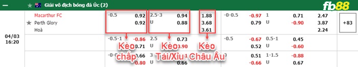 Fb88 bảng kèo trận đấu Macarthur FC vs Perth Glory