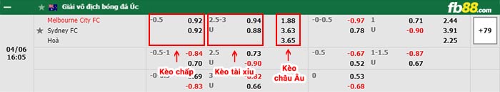 fb88-bảng kèo trận đấu Melbourne City vs Sydney FC