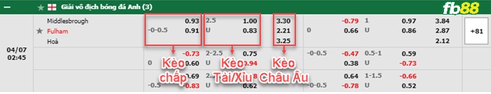 Fb88 bảng kèo trận đấu Middlesbrough vs Fulham