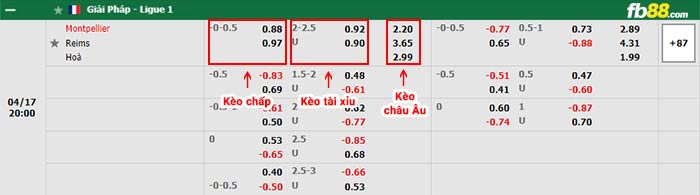 fb88-bảng kèo trận đấu Montpellier vs Reims