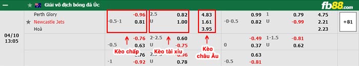 fb88-bảng kèo trận đấu Newcastle Jets vs Perth Glory