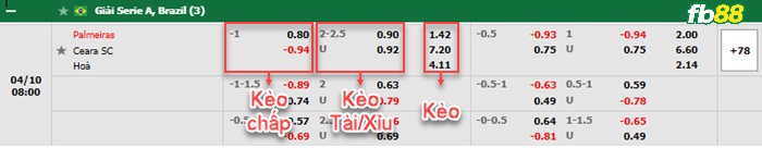 Fb88 bảng kèo trận đấu Palmeiras vs Ceara