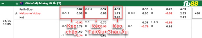 Fb88 bảng kèo trận đấu Perth Glory vs Melbourne Victory
