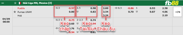 Fb88 bảng kèo trận đấu Puebla vs Pumas UNAM