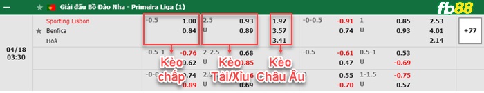 Fb88 bảng kèo trận đấu Sporting Lisbon vs Benfica