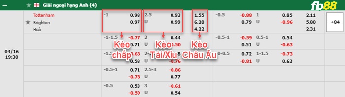 Fb88 bảng kèo trận đấu Tottenham vs Brighton