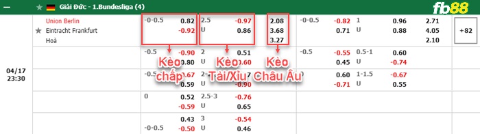 Fb88 bảng kèo trận đấu Hoffenheim vs Greuther Furth