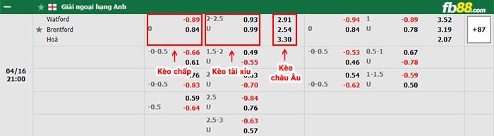 fb88-bảng kèo trận đấu Watford vs Brentford
