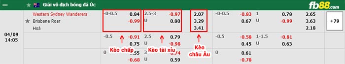 fb88-bảng kèo trận đấu Western Sydney vs Brisbane Roar