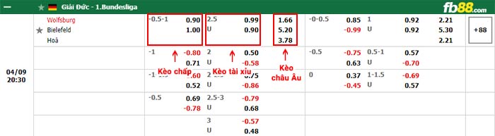 fb88-bảng kèo trận đấu Wolfsburg vs Arminia Bielefeld