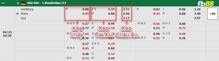 Fb88 bảng kèo trận đấu FC Twente vs Sparta Rotterdam