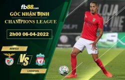 Fb88 soi kèo trận đấu Preston vs Blackpool