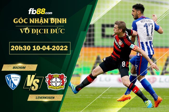 Fb88 soi kèo trận đấu Bochum vs Leverkusen