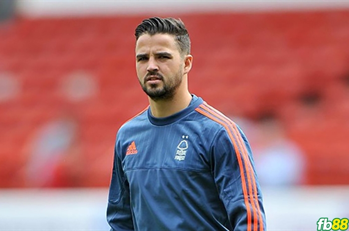 Stephen McLaughlin
