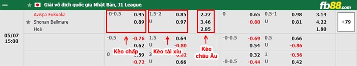 fb88-bảng kèo trận đấu Avispa Fukuoka vs Shonan Bellmare