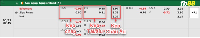 Fb88 bảng kèo trận đấu Bohemians vs Sligo Rovers