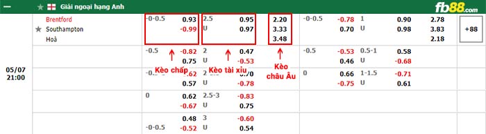 fb88-bảng kèo trận đấu Brentford vs Southampton