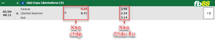 Fb88 bảng kèo trận đấu Caracas FC vs Club Libertad