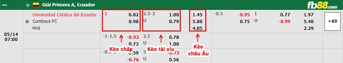 fb88-bảng kèo trận đấu Catolica Quito vs Cumbaya