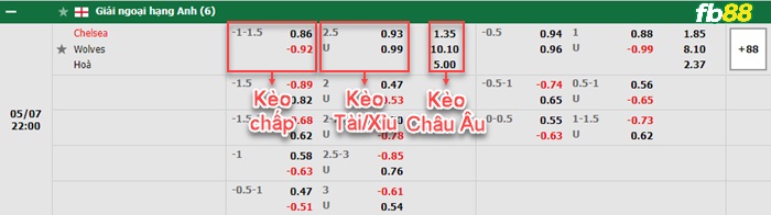 Fb88 bảng kèo trận đấu Chelsea vs Wolves